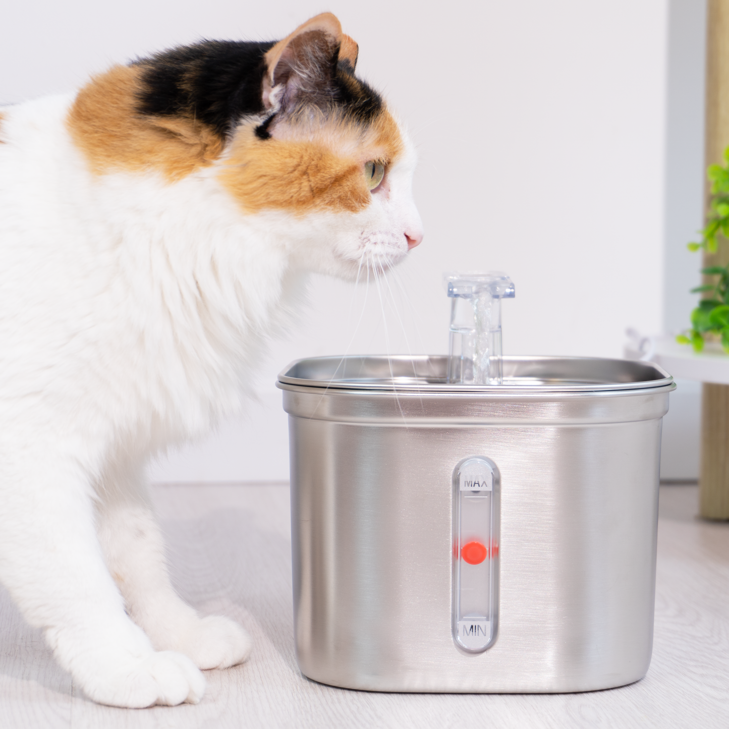 Stainless Steel Cat Fountain